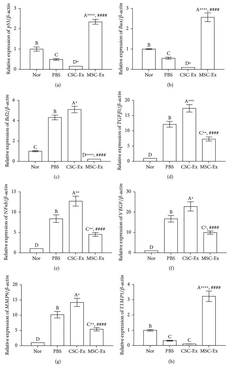 https://cdn.ncbi.nlm.nih.gov/pmc/blobs/ef52/6129855/4c9f021f3516/SCI2018-8058979.007.jpg