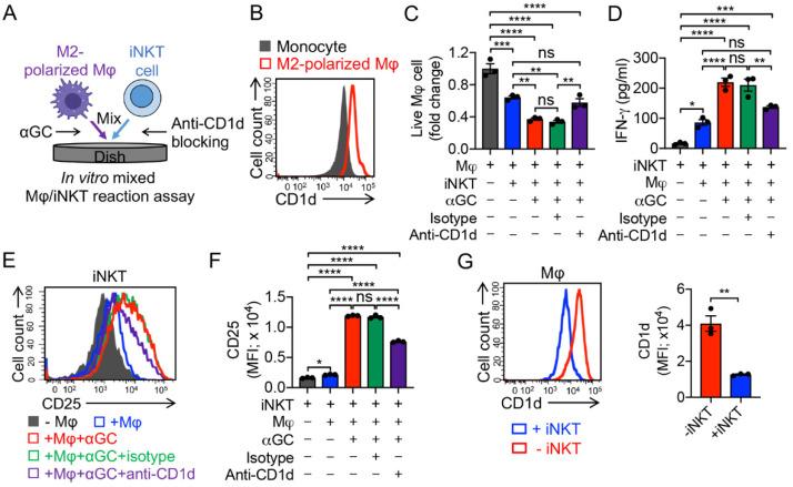 https://cdn.ncbi.nlm.nih.gov/pmc/blobs/ef52/9179365/46b1a838338b/cancers-14-02749-g004.jpg