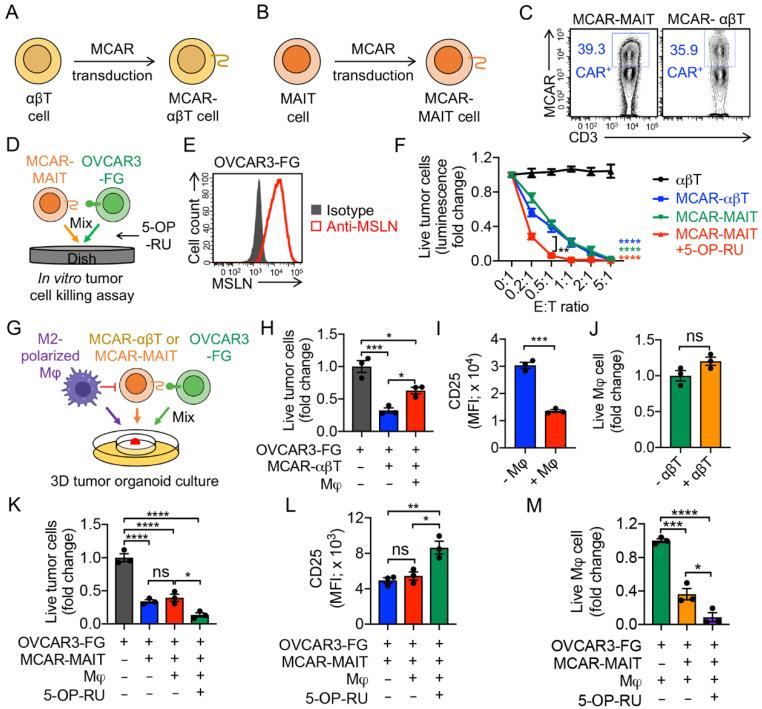 https://cdn.ncbi.nlm.nih.gov/pmc/blobs/ef52/9179365/4cc533ead74d/cancers-14-02749-g006.jpg
