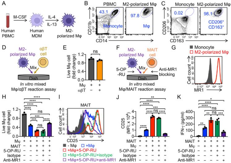 https://cdn.ncbi.nlm.nih.gov/pmc/blobs/ef52/9179365/846e12fac4d2/cancers-14-02749-g003.jpg