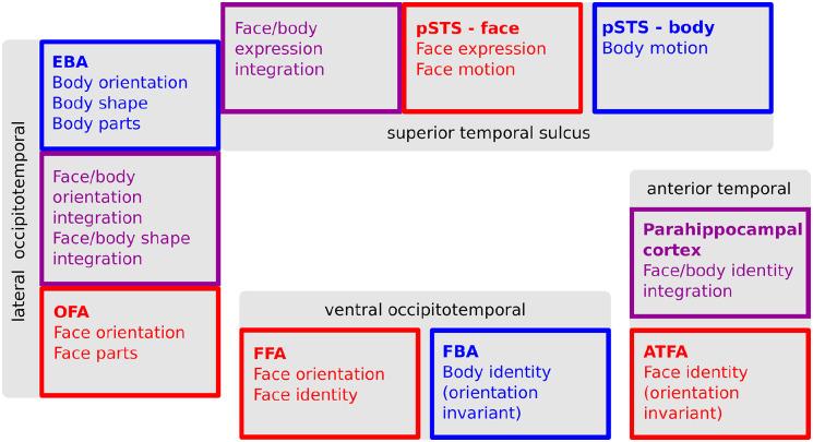 https://cdn.ncbi.nlm.nih.gov/pmc/blobs/ef53/9386443/61598f585743/10.1177_26331055221119221-fig2.jpg