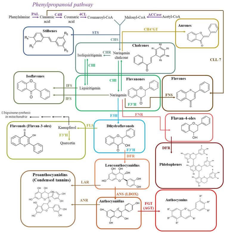 https://cdn.ncbi.nlm.nih.gov/pmc/blobs/ef54/10669185/ea1a96216d16/antioxidants-12-02014-g004.jpg