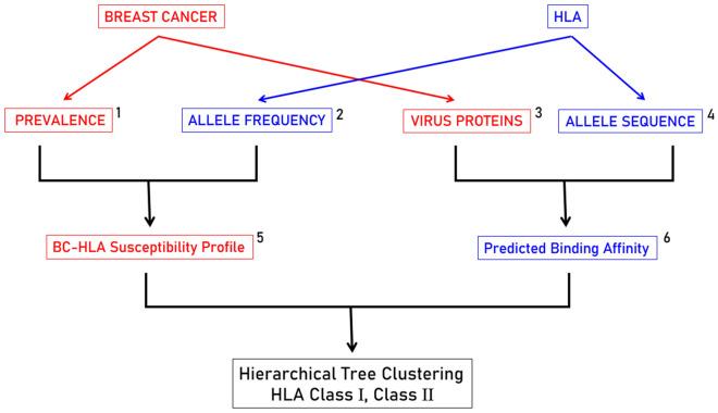 https://cdn.ncbi.nlm.nih.gov/pmc/blobs/ef55/11246526/64a9f9e1b39d/41598_2024_65707_Fig1_HTML.jpg