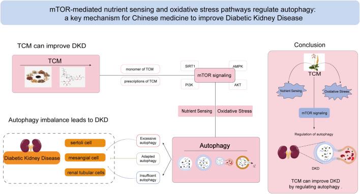 https://cdn.ncbi.nlm.nih.gov/pmc/blobs/ef55/12055823/2a8a4b2bc1d3/fphar-16-1578400-g003.jpg