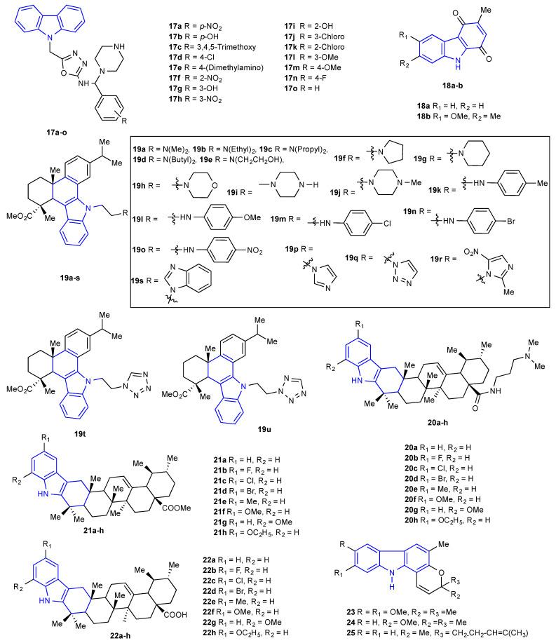 https://cdn.ncbi.nlm.nih.gov/pmc/blobs/ef55/9573399/dd7d9424462f/molecules-27-06575-g005.jpg
