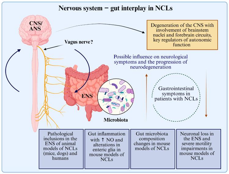 https://cdn.ncbi.nlm.nih.gov/pmc/blobs/ef56/12346404/9d05f63b35f8/ijms-26-07192-g002.jpg
