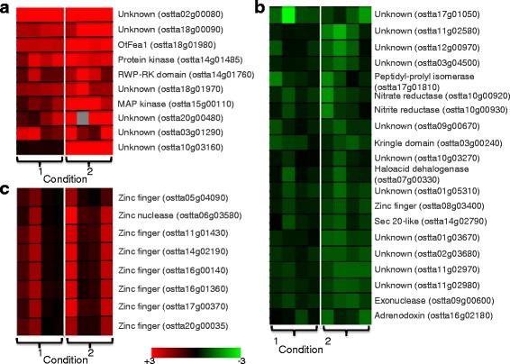 https://cdn.ncbi.nlm.nih.gov/pmc/blobs/ef56/4855317/c87a3547a6e0/12864_2016_2666_Fig7_HTML.jpg