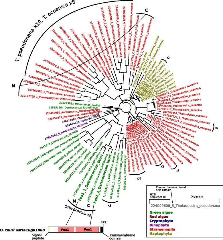 https://cdn.ncbi.nlm.nih.gov/pmc/blobs/ef56/4855317/dd113ce59b43/12864_2016_2666_Fig4_HTML.jpg