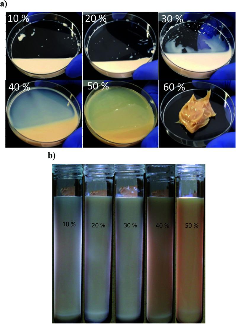 https://cdn.ncbi.nlm.nih.gov/pmc/blobs/ef56/9071143/93fbefe5c375/c9ra04761a-f6.jpg
