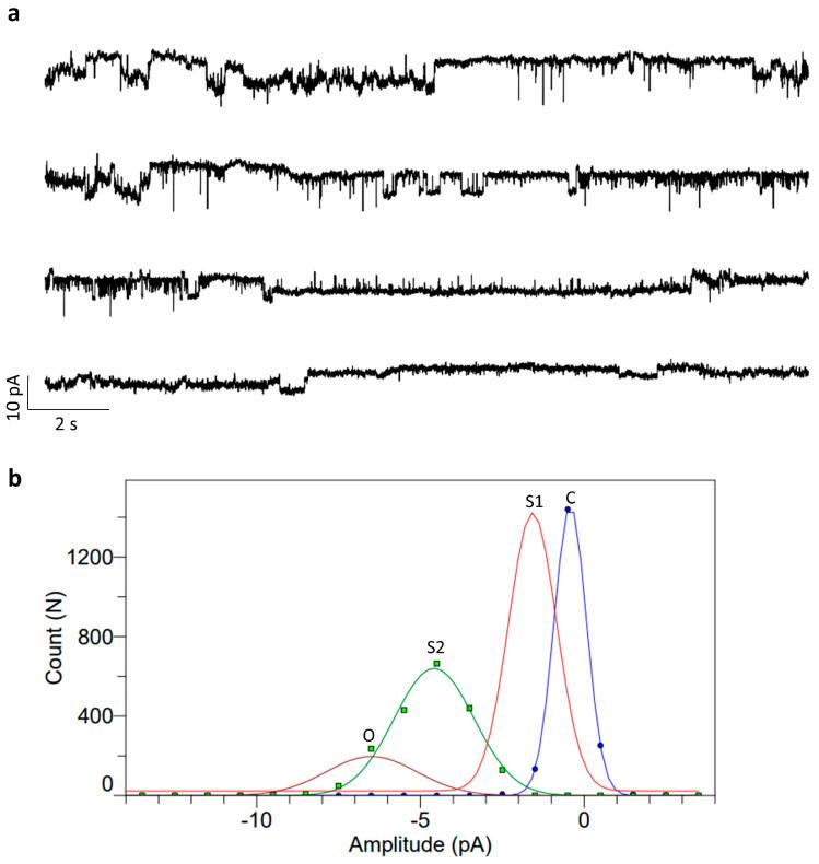 https://cdn.ncbi.nlm.nih.gov/pmc/blobs/ef57/10813726/989b85e13c22/bioengineering-11-00092-g008.jpg