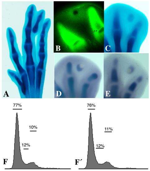 https://cdn.ncbi.nlm.nih.gov/pmc/blobs/ef58/3172225/9ba0d401590c/pone.0024546.g001.jpg