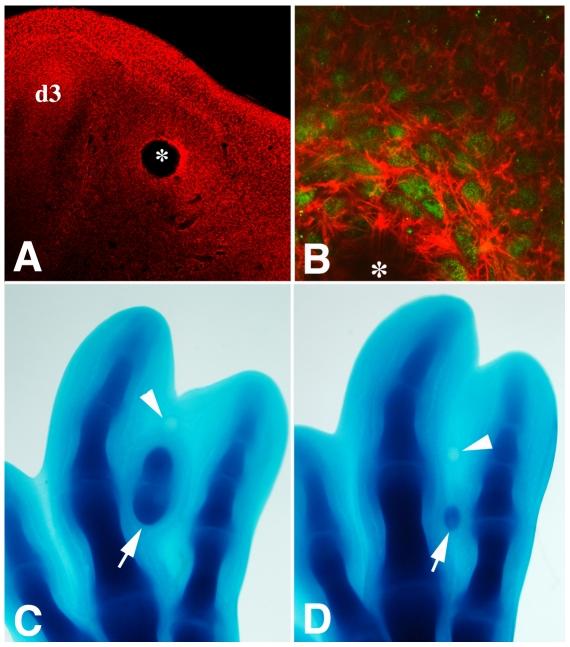 https://cdn.ncbi.nlm.nih.gov/pmc/blobs/ef58/3172225/e044b7395889/pone.0024546.g002.jpg