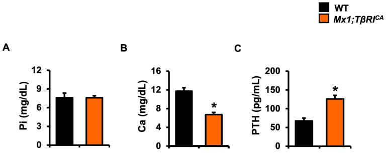 https://cdn.ncbi.nlm.nih.gov/pmc/blobs/ef5a/10341885/fdaa48184fae/ijms-24-10797-g002.jpg