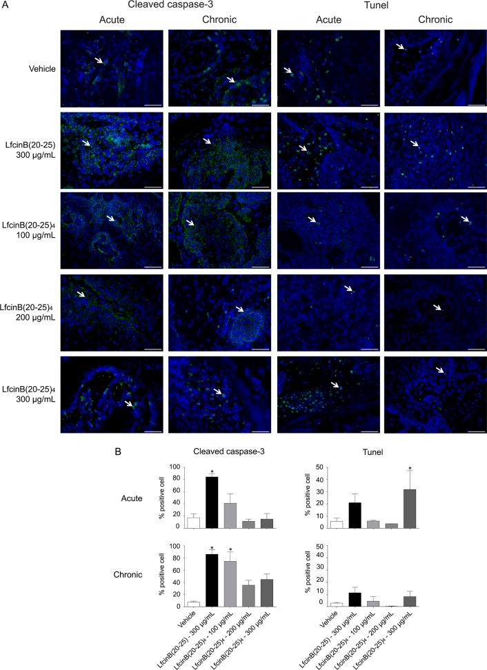 https://cdn.ncbi.nlm.nih.gov/pmc/blobs/ef5d/5373611/7182b774d7e5/pone.0174707.g003.jpg