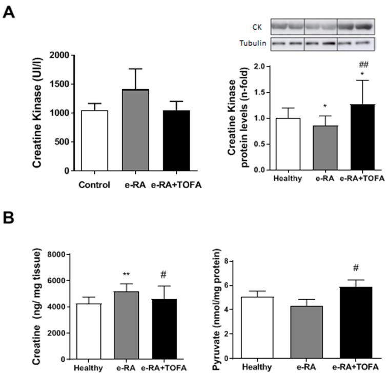 https://cdn.ncbi.nlm.nih.gov/pmc/blobs/ef62/10487422/ad8d863a559e/ijms-24-13181-g005.jpg