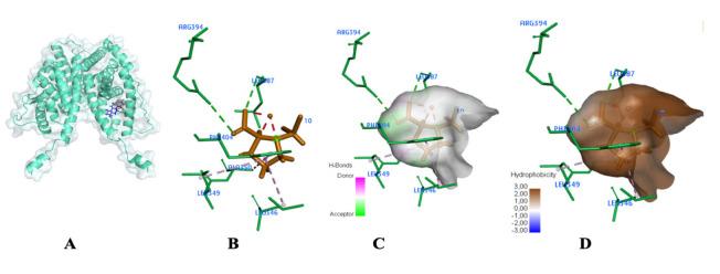 https://cdn.ncbi.nlm.nih.gov/pmc/blobs/ef62/11711347/9c2899ae0d5c/APJCP-25-3481-g002.jpg