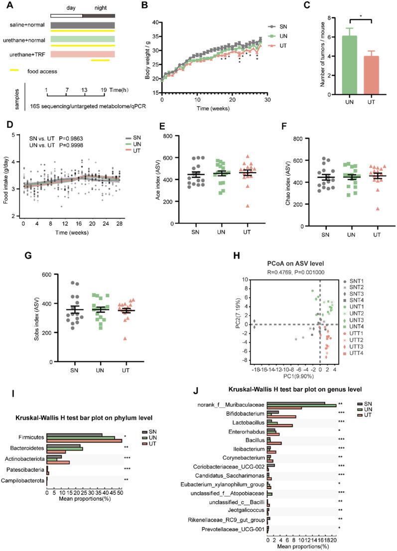 https://cdn.ncbi.nlm.nih.gov/pmc/blobs/ef63/10590998/6c5515d35513/gr1.jpg