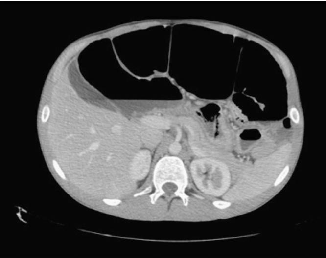 https://cdn.ncbi.nlm.nih.gov/pmc/blobs/ef66/5192036/e3231a446bbe/gr4.jpg