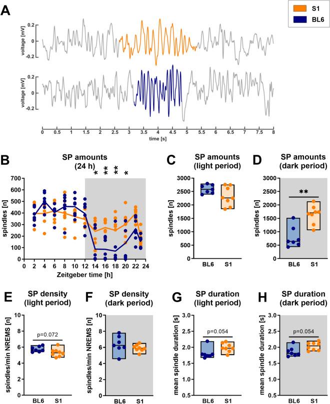 https://cdn.ncbi.nlm.nih.gov/pmc/blobs/ef66/8076259/44ff550e2e25/41598_2021_88475_Fig6_HTML.jpg