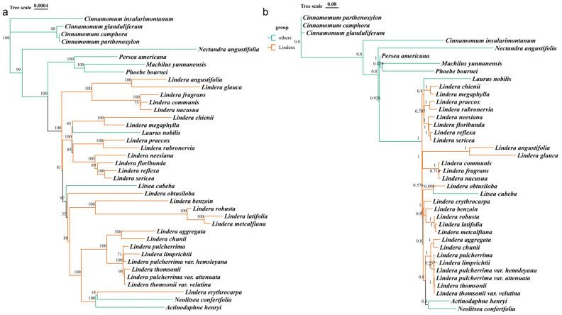 https://cdn.ncbi.nlm.nih.gov/pmc/blobs/ef67/10970223/6318567ad7e1/genes-15-00263-g007.jpg