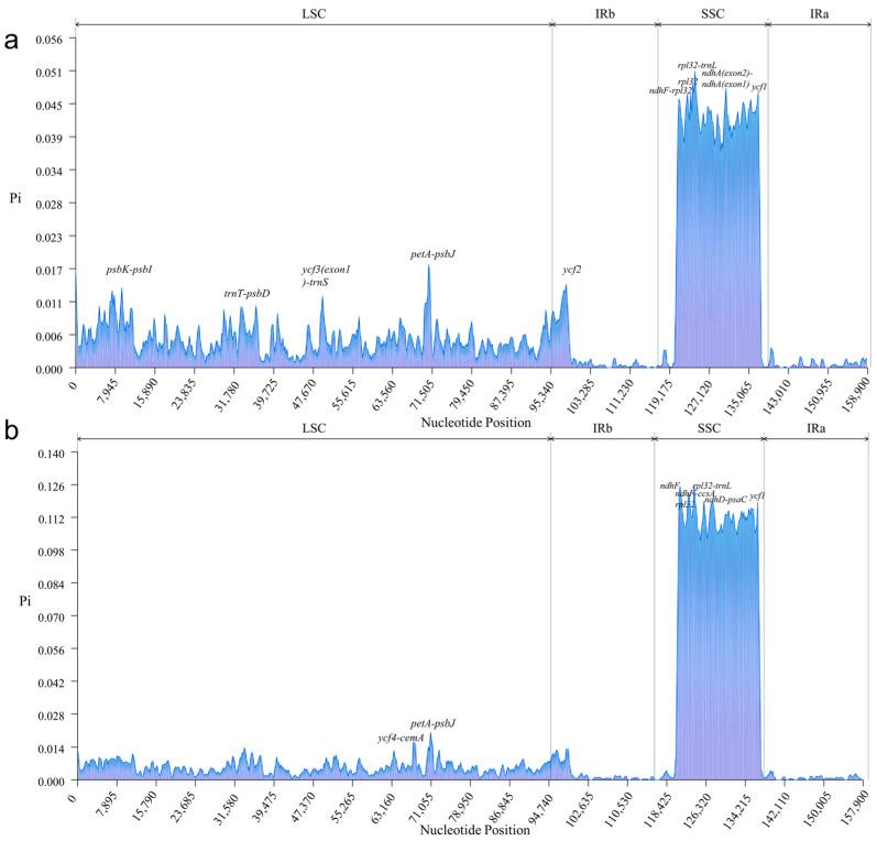 https://cdn.ncbi.nlm.nih.gov/pmc/blobs/ef67/10970223/c61f5cf4947d/genes-15-00263-g004.jpg