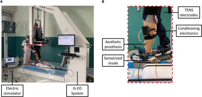 https://cdn.ncbi.nlm.nih.gov/pmc/blobs/ef6c/12038349/4358be59bd3f/cbsystems.0243.fig.005.jpg