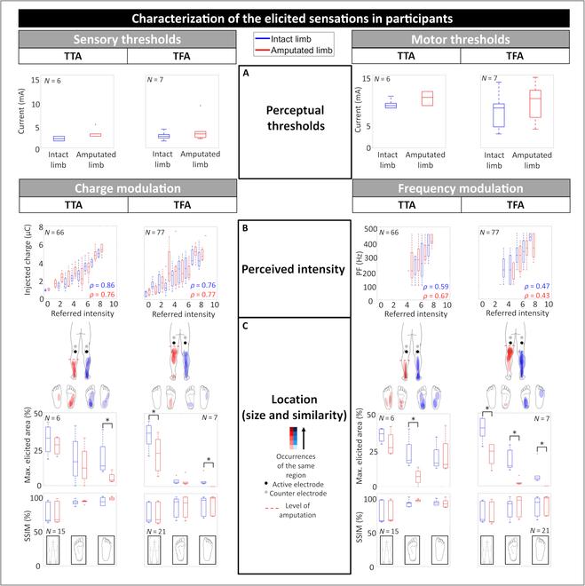 https://cdn.ncbi.nlm.nih.gov/pmc/blobs/ef6c/12038349/837a482361a4/cbsystems.0243.fig.002.jpg