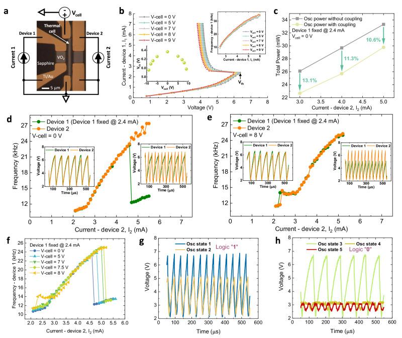 https://cdn.ncbi.nlm.nih.gov/pmc/blobs/ef6d/11236964/f79e5c4c78b9/41467_2024_49925_Fig2_HTML.jpg
