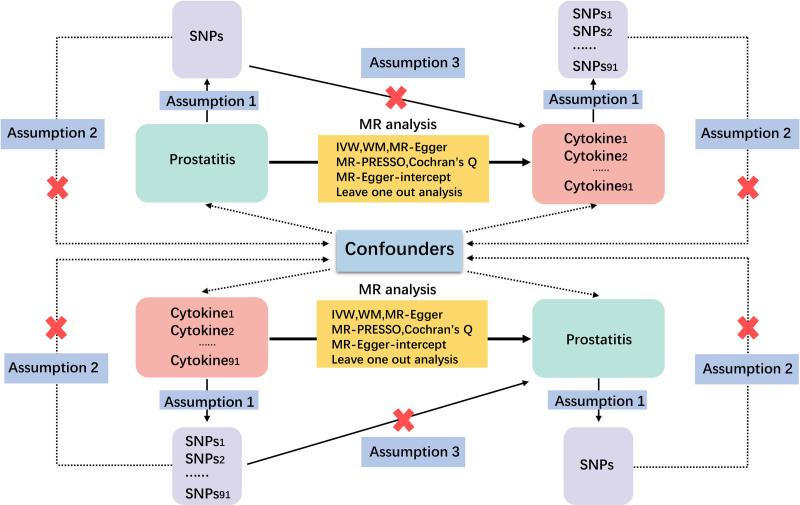 https://cdn.ncbi.nlm.nih.gov/pmc/blobs/ef6d/12073858/82a88cc520e7/medi-104-e42438-g001.jpg