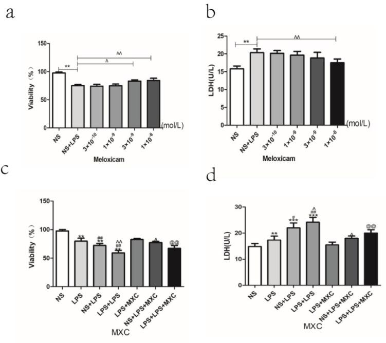 https://cdn.ncbi.nlm.nih.gov/pmc/blobs/ef6f/9181626/c609b7de5cfc/ijms-23-06142-g007.jpg