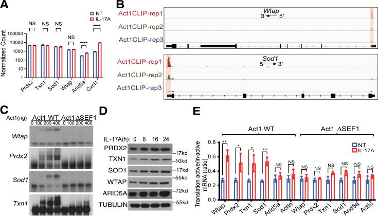 https://cdn.ncbi.nlm.nih.gov/pmc/blobs/ef70/11167376/acfbfea7361f/JEM_20231442_Fig2.jpg
