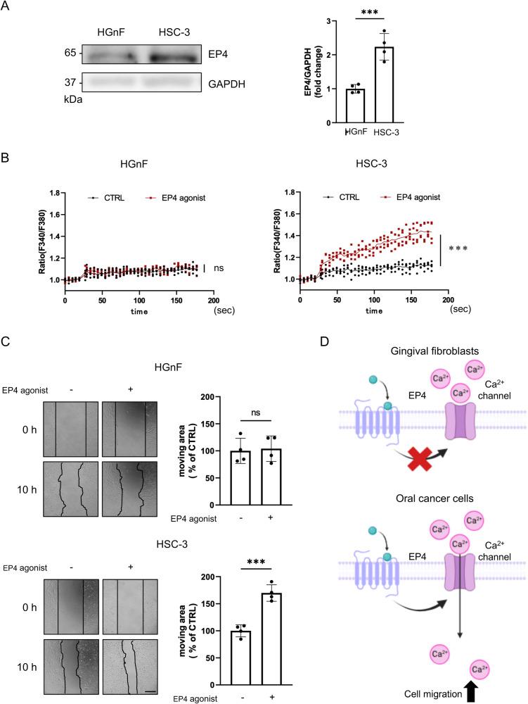 https://cdn.ncbi.nlm.nih.gov/pmc/blobs/ef71/11093972/9e25cab5e56b/42003_2024_6231_Fig1_HTML.jpg