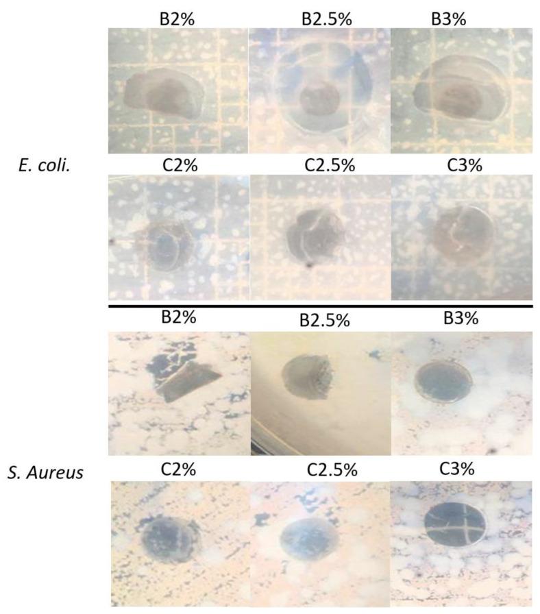 https://cdn.ncbi.nlm.nih.gov/pmc/blobs/ef74/10144850/75ff4dc43719/materials-16-03000-g006.jpg