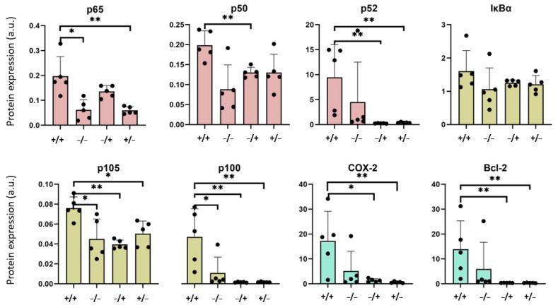 https://cdn.ncbi.nlm.nih.gov/pmc/blobs/ef74/10745731/7a6f0c652196/nanomaterials-13-03166-g005.jpg