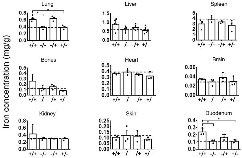 https://cdn.ncbi.nlm.nih.gov/pmc/blobs/ef74/10745731/d8da20ac953d/nanomaterials-13-03166-g003.jpg