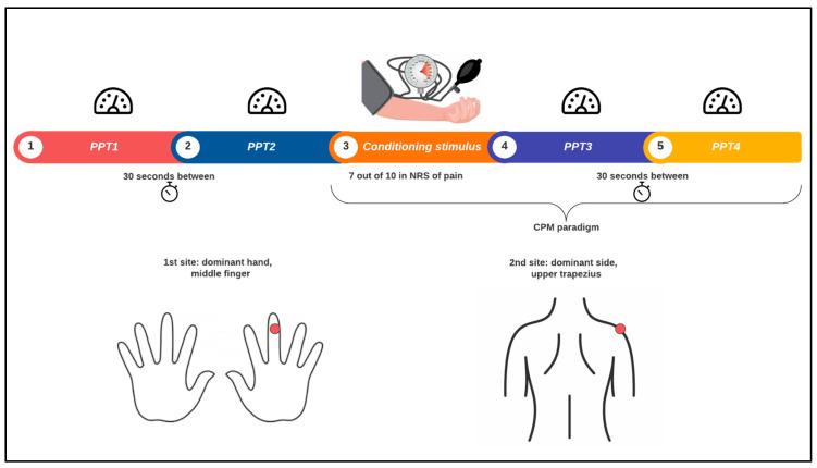https://cdn.ncbi.nlm.nih.gov/pmc/blobs/ef75/11506720/dd193836e5b8/cells-13-01719-g001.jpg