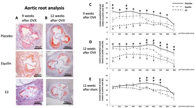 https://cdn.ncbi.nlm.nih.gov/pmc/blobs/ef77/12246398/9f1be2858cd2/41598_2025_10494_Fig3_HTML.jpg