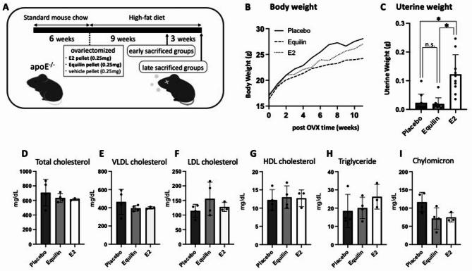 https://cdn.ncbi.nlm.nih.gov/pmc/blobs/ef77/12246398/ff52a618d693/41598_2025_10494_Fig1_HTML.jpg