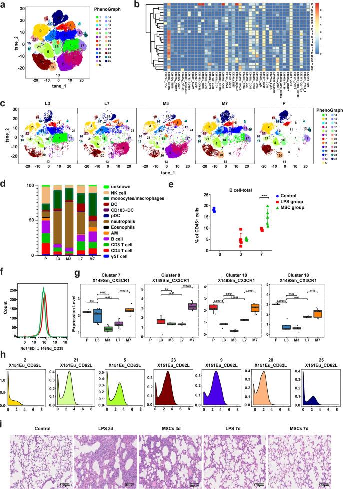 https://cdn.ncbi.nlm.nih.gov/pmc/blobs/ef78/8649063/7a40a5118ebf/41422_2021_573_Fig5_HTML.jpg