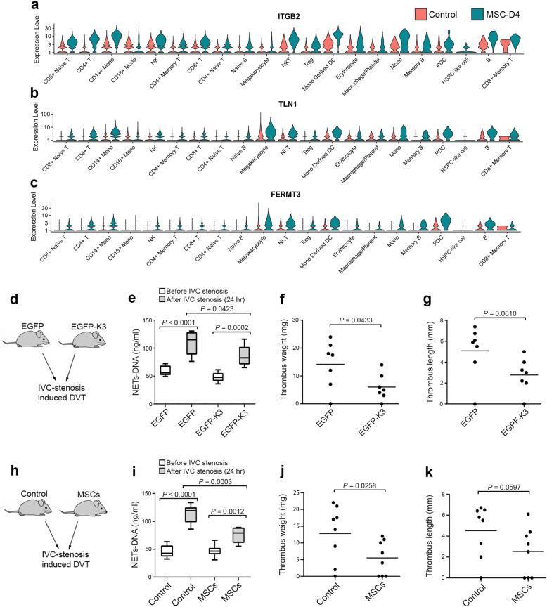 https://cdn.ncbi.nlm.nih.gov/pmc/blobs/ef78/8649063/814f43d013d2/41422_2021_573_Fig6_HTML.jpg
