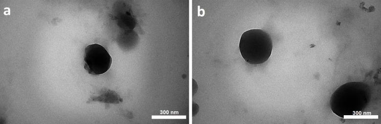 https://cdn.ncbi.nlm.nih.gov/pmc/blobs/ef7b/8642796/ca3af1868045/apb-11-643-g003.jpg