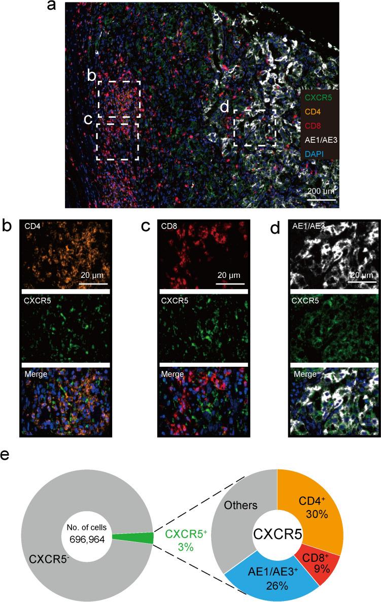 https://cdn.ncbi.nlm.nih.gov/pmc/blobs/ef81/11985720/8b7b170e3502/262_2025_4020_Fig1_HTML.jpg