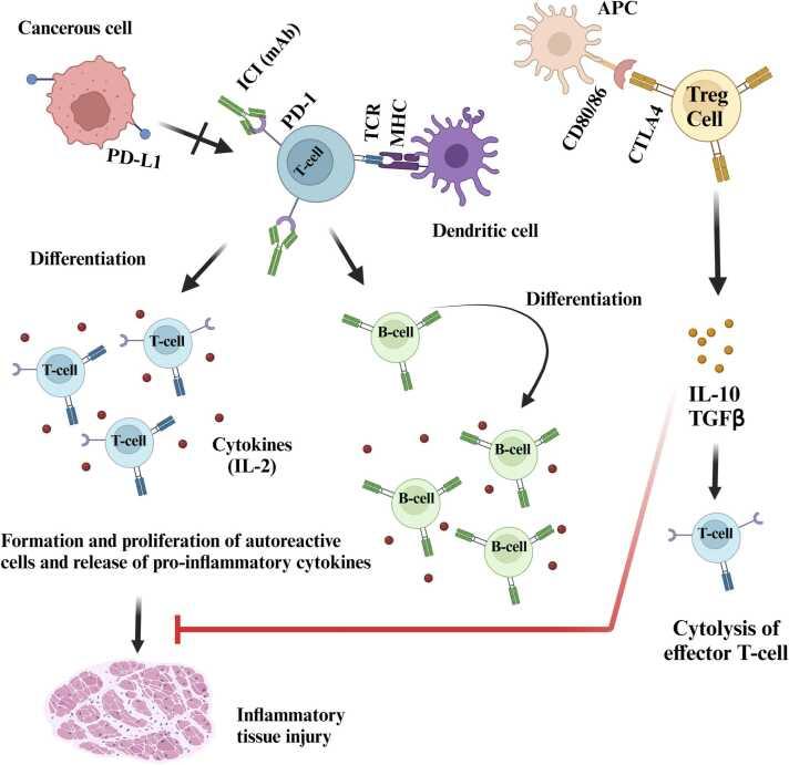 https://cdn.ncbi.nlm.nih.gov/pmc/blobs/ef81/12063143/2c3c592b05ad/gr6.jpg