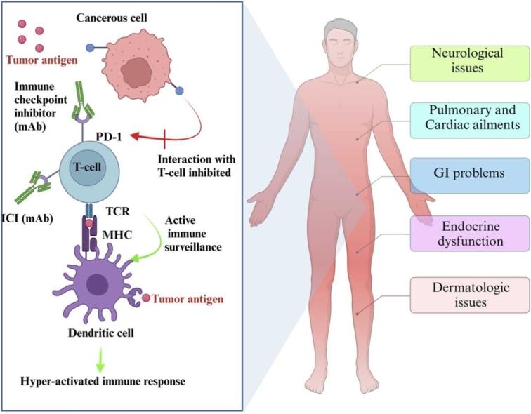 https://cdn.ncbi.nlm.nih.gov/pmc/blobs/ef81/12063143/67a2bce08585/ga1.jpg