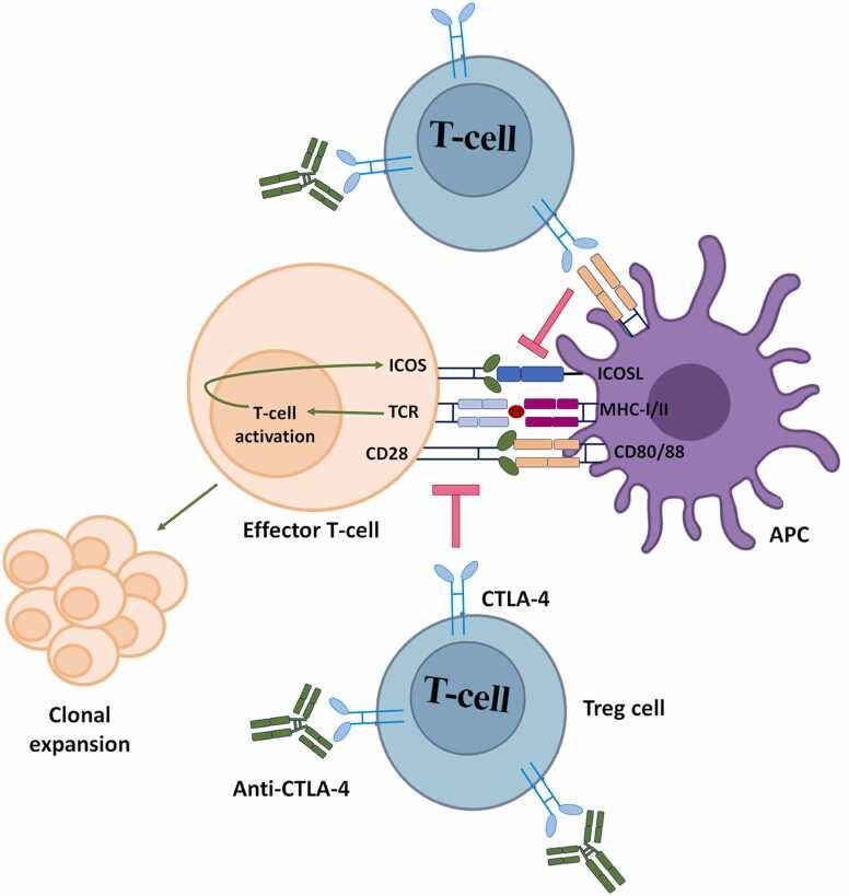 https://cdn.ncbi.nlm.nih.gov/pmc/blobs/ef81/12063143/d8574052b371/gr2.jpg