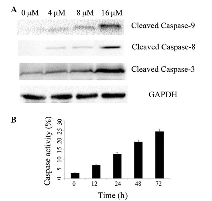 https://cdn.ncbi.nlm.nih.gov/pmc/blobs/ef83/4301518/e954fa6c9483/OL-09-02-0629-g02.jpg
