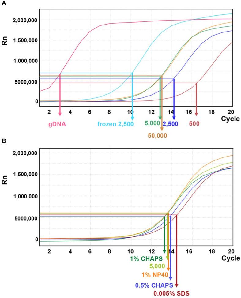 https://cdn.ncbi.nlm.nih.gov/pmc/blobs/ef85/11165127/85d12d243d3a/fpls-15-1370618-g008.jpg