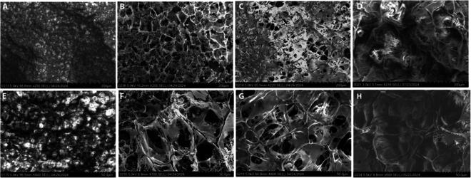 https://cdn.ncbi.nlm.nih.gov/pmc/blobs/ef85/12329791/55e7fe425556/bmef.0159.fig.002.jpg