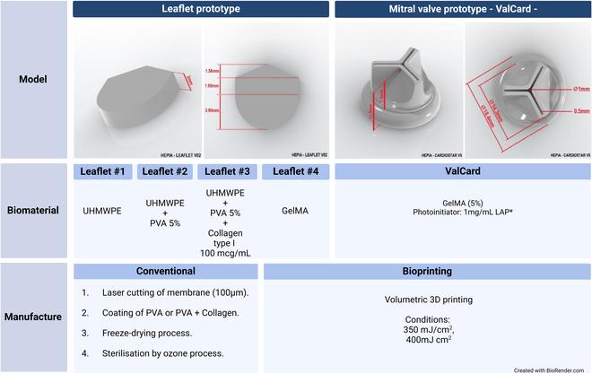 https://cdn.ncbi.nlm.nih.gov/pmc/blobs/ef85/12329791/d16c2b95ce57/bmef.0159.fig.001.jpg
