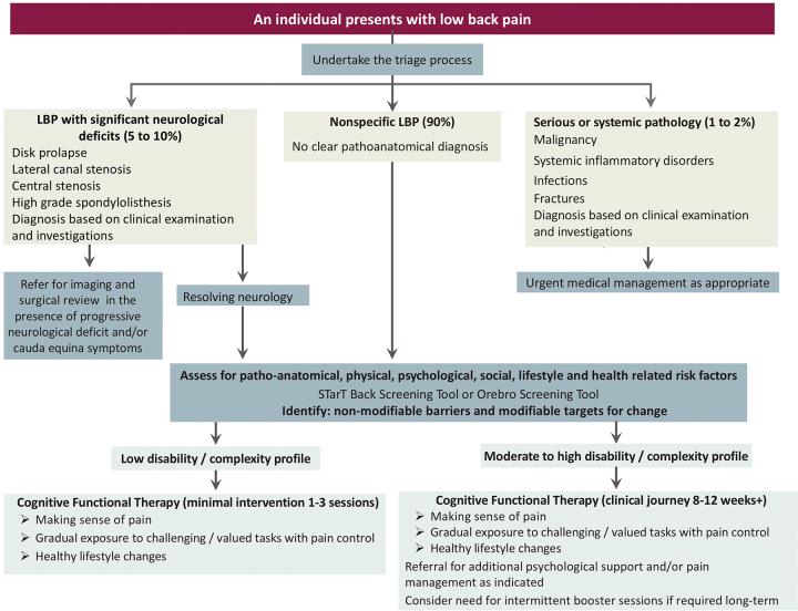 https://cdn.ncbi.nlm.nih.gov/pmc/blobs/ef85/6037069/b993ef67abcd/pzy022fig2.jpg